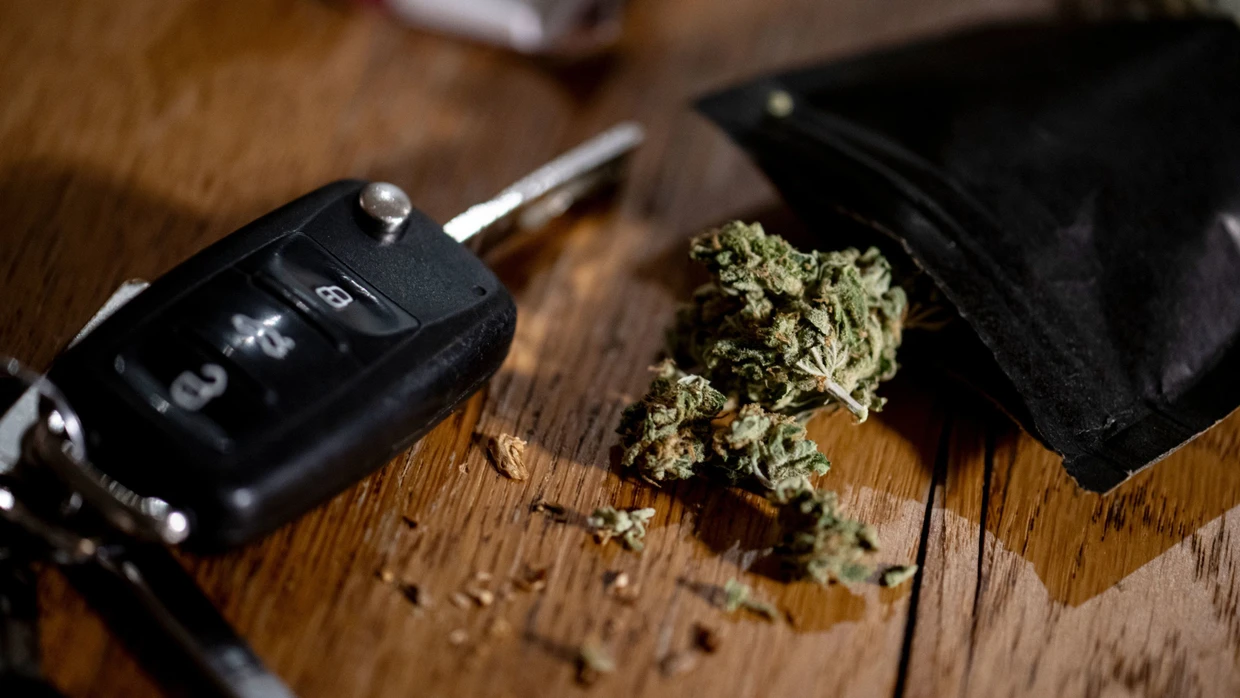 elfbar elfa master akku CBD, HHC & Autofahren: Was ist erlaubt? Fhrerschein-Guide 2026