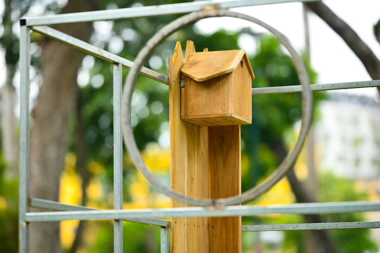 Vogelstimmen auf Gesäßdruck: Baltic Raw Org, What do birds tweet about?, Installationsansicht 2025.