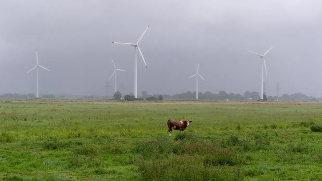 Im Norden ist mehr Wind: Windräder in Schleswig-Holstein