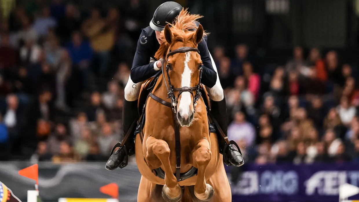 Sollen wieder für russische Athleten geöffnet werden: FEI-Veranstaltungen wie hier in Stuttgart mit dem britischen Sieger Harry Charles auf Billabong du Roumois