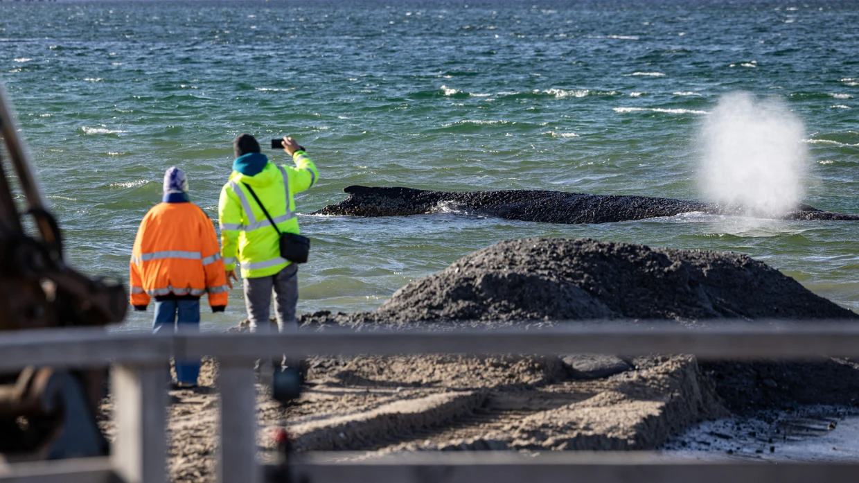 Timmendorfer Strand: Helfer beaufsichtigen die Rettungsarbeiten.