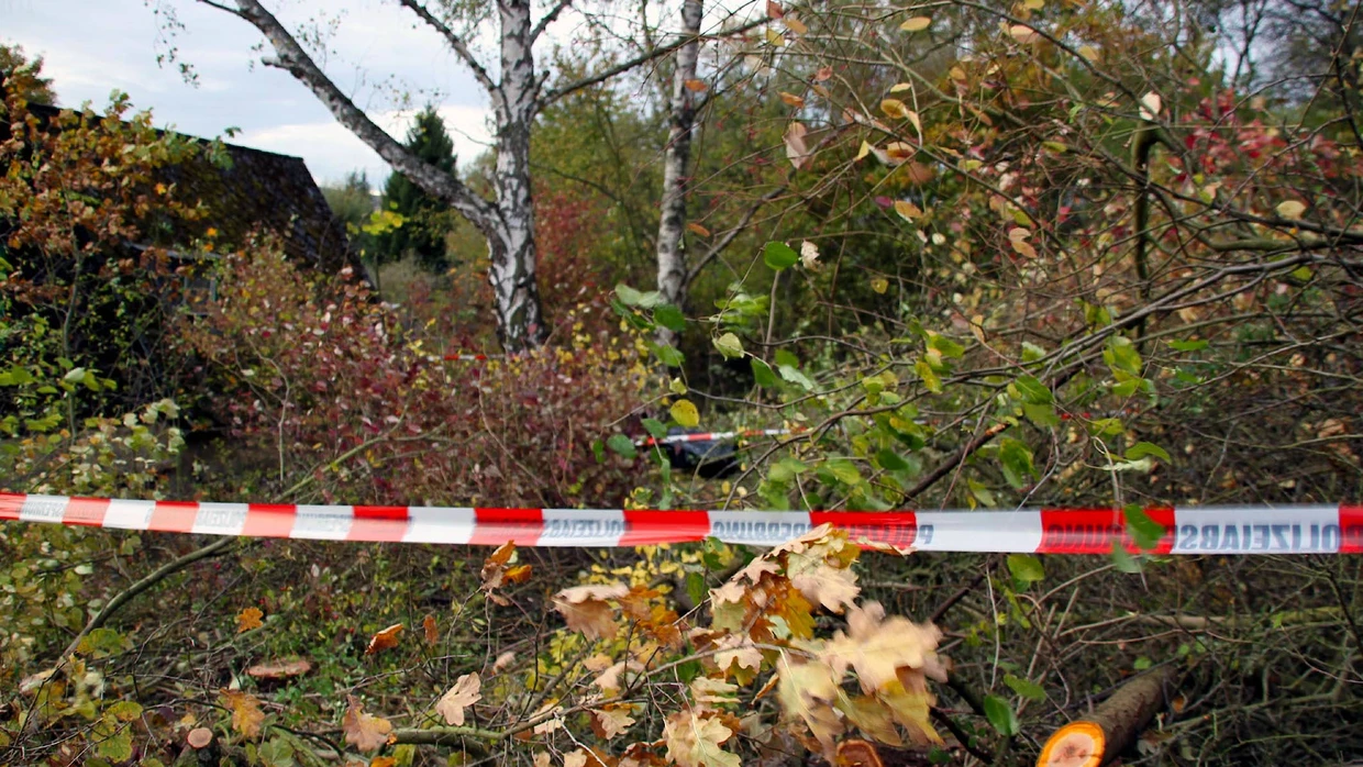 Fundort: Immer wieder werden in Waldstücken menschliche Knochen entdeckt, so wie jetzt bei Viernheim (Symbolbild)