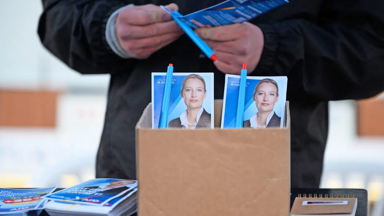 Pessimistischer Blick auf die Wirtschaft: Wahlwerbung der AfD mit deren Kanzlerkandidatin Alice Weidel