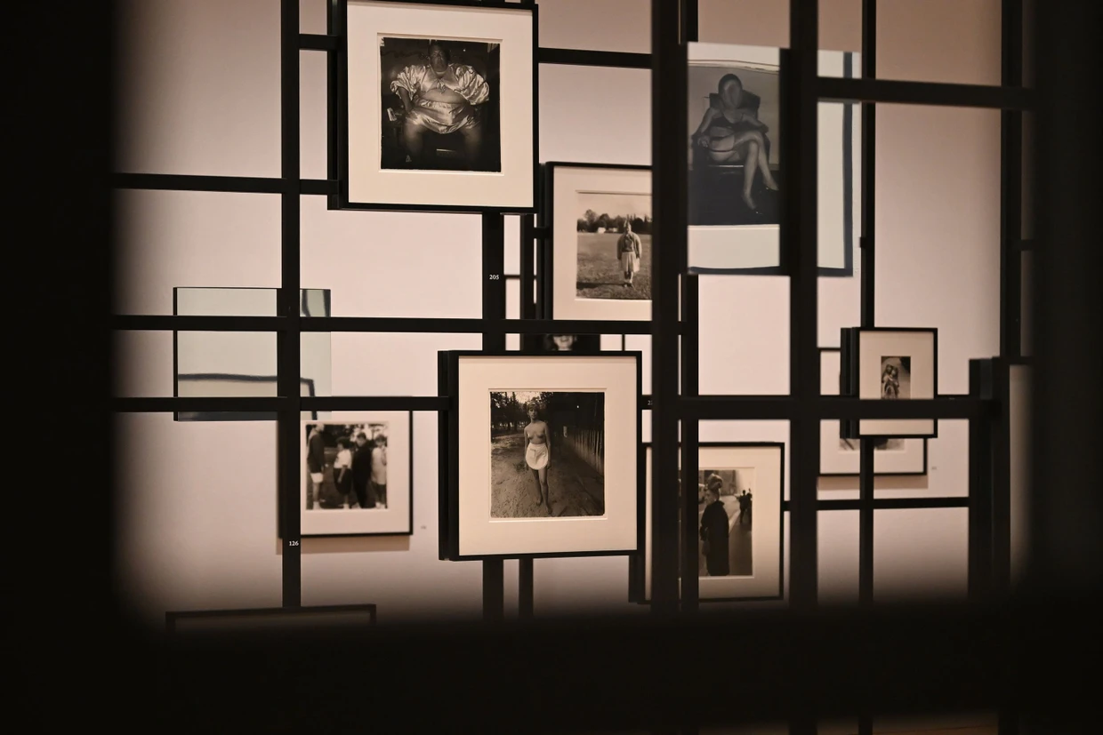 Fotografien der Künstlerin Diane Arbus hängen an einem Gitterkonstrukt im Gropius Bau.