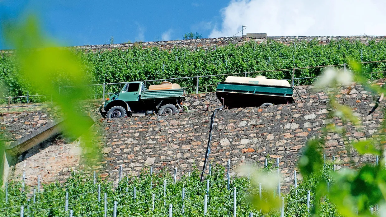 Tröpfchenweise: Ein Tankwagen versorgt die Bewässerungsanlage in den Weinbergen bei Rüdesheim.