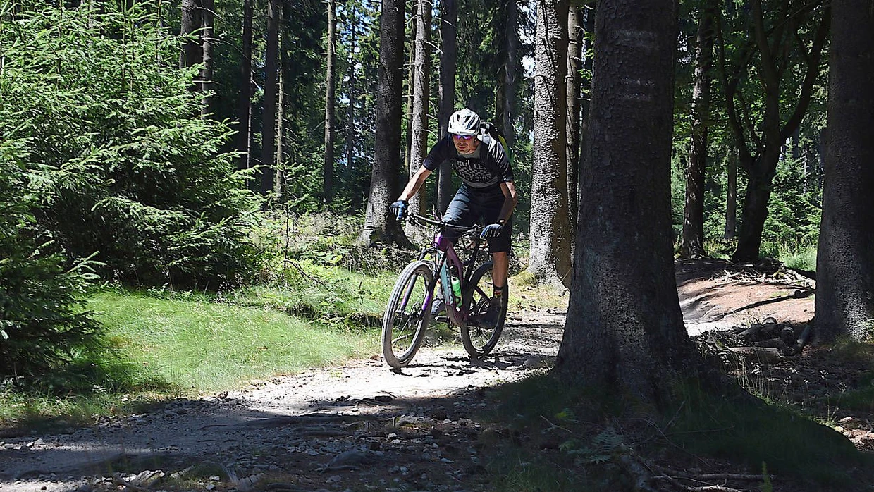 fahrradkorb lenkertasche ROCKBROS Wasserdichte Fronttasche Einstellbar – ROCKBROS-DE trunks Achsmaß:Boost Cannabisblätter: Wie unterscheiden sie
