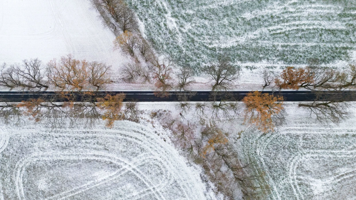 Schnee in Brandenburg: Im Süden und Osten des Landes bleibt es winterlich.