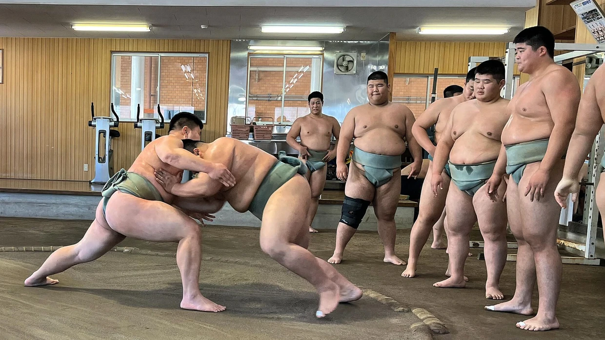 Mit der Masse wächst der Vorteil im Ring – und das Gesundheitsrisiko: Blick ins Training der Sumoschule in Saitama