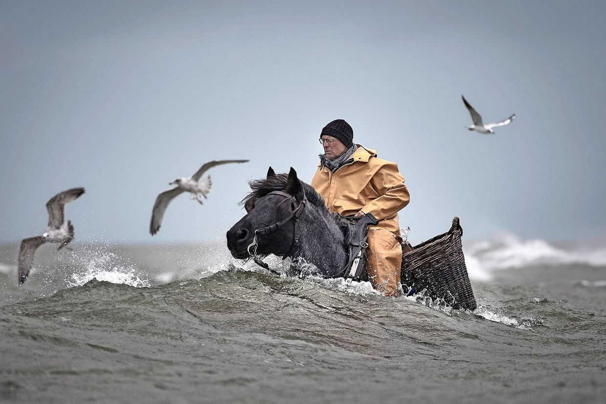 Jäger der Shrimps: Kristina Steiners preisgekrönter Garnelenfischer aus der Serie „Paardenvissers“