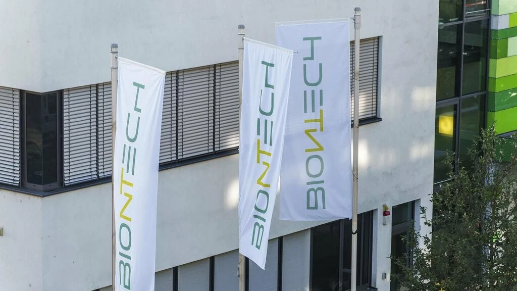 pflanztopf weinfass Pflanzkasten aus 1/2 gebrauchtem Weinfass