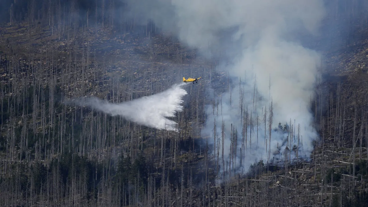 Ein Löschflugzeug ist am Brocken im Einsatz.