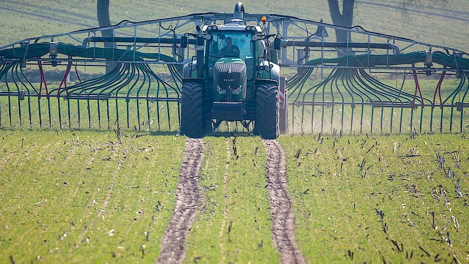 koniferenhecke düngen Koniferen Dünger - Mineralischer NPK Flüssigdünger mit Stickstoff main image 0