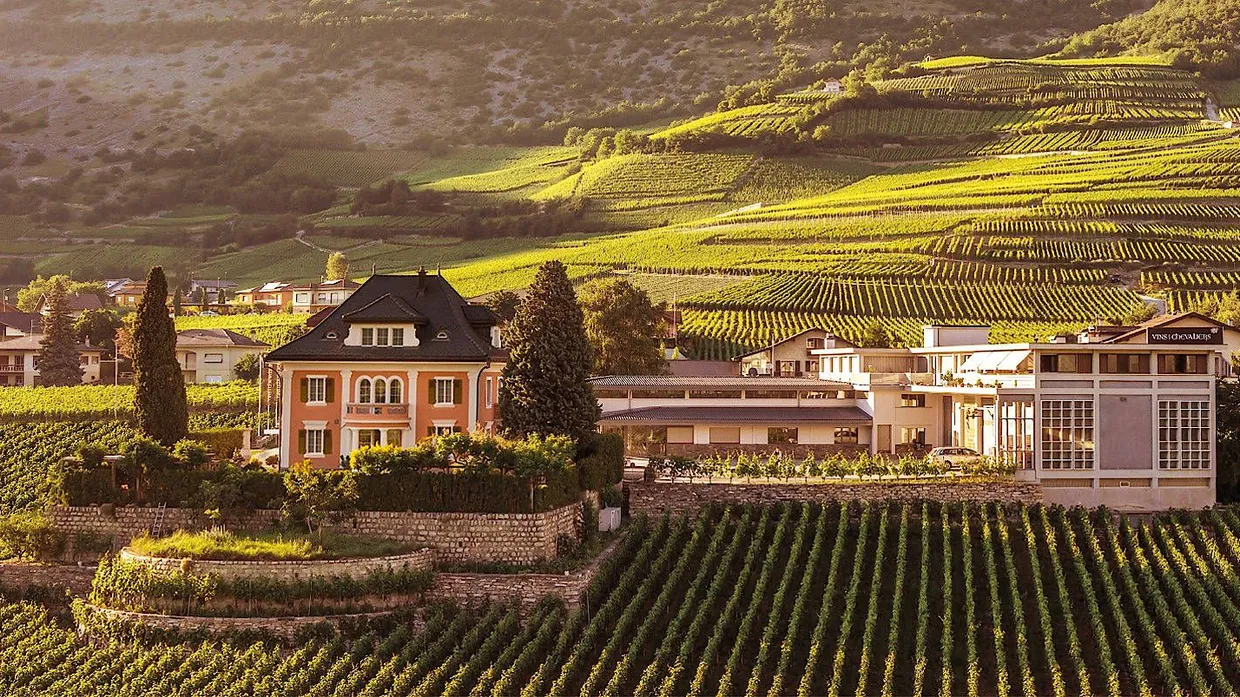 Domaines Chevaliers: Patrick Z'Brun hat das Weingut in der Walliser Gemeinde Salgesch im Jahr 2008 übernommen.