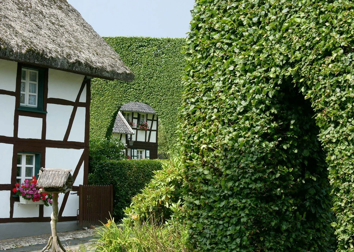In die Hecken geschnittene Torbögen, Eingänge und Fenster sorgen für ausreichend Licht in den Häusern.