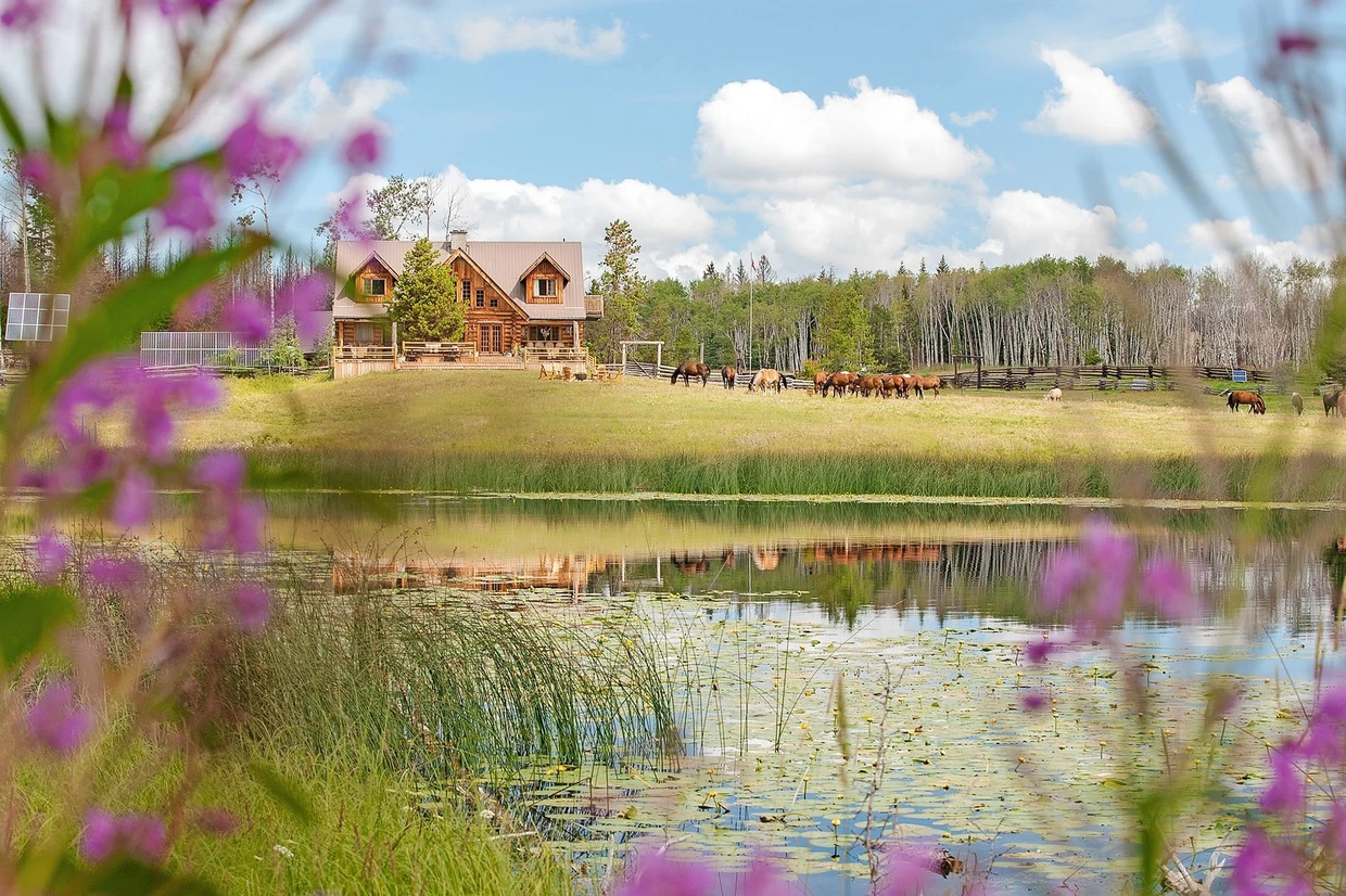 Die Natur regenerierte sich schnell: Siwash Lake Lodge