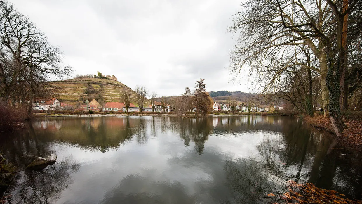 Die gute Stube des Breisgaus: Blick auf den Staufener Stadtsee