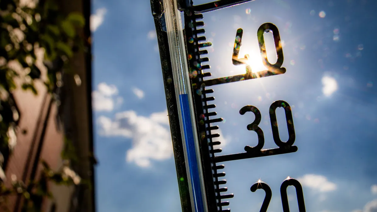 Die hohen Temperaturen im Juli haben zu einer überdurchschnittlich hohen Zahl an Toten geführt.