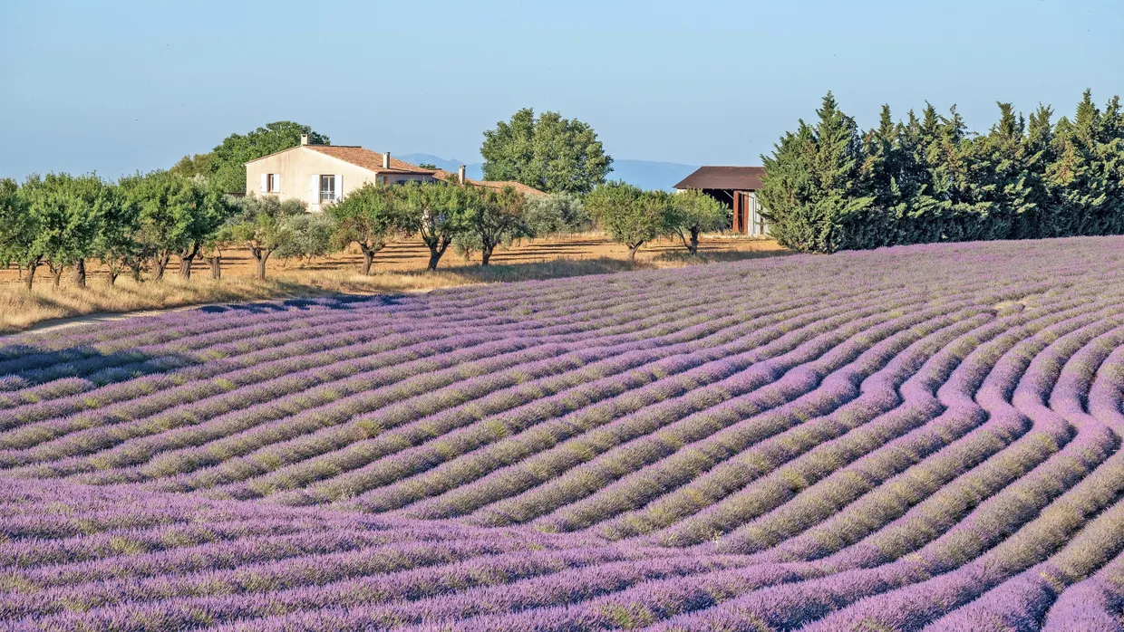 Ferienhaus in der Provence: Eine der teuersten Gegenden Frankreichs