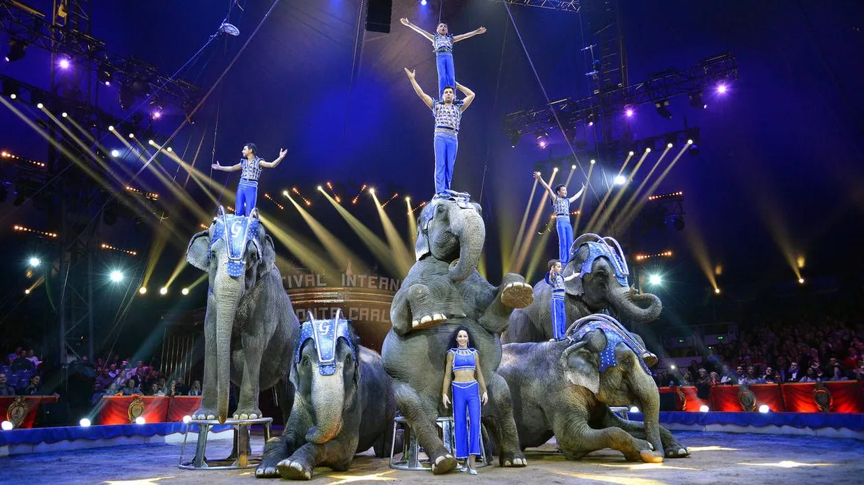 Jede Elefantendressur kann die letzte sein: Die Familie Joy Gärtner beim Zirkusfestival in Monte Carlo