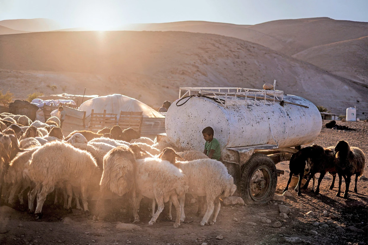 Das letzte palästinensische Hirtendorf in einem etwa 40 Kilometer langen Streifen Land: Ein palästinensischer Junge tränkt in Ras Ain al-Audscha die Ziegen seiner Familie.