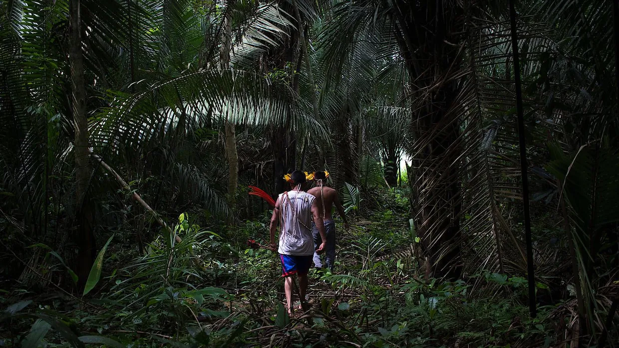 Dieses von Amnesty International zur Verfügung gestellte Bild zeigt Indigene auf einem Weg, der von Eindringlingen im Wald gebahnt wurde.