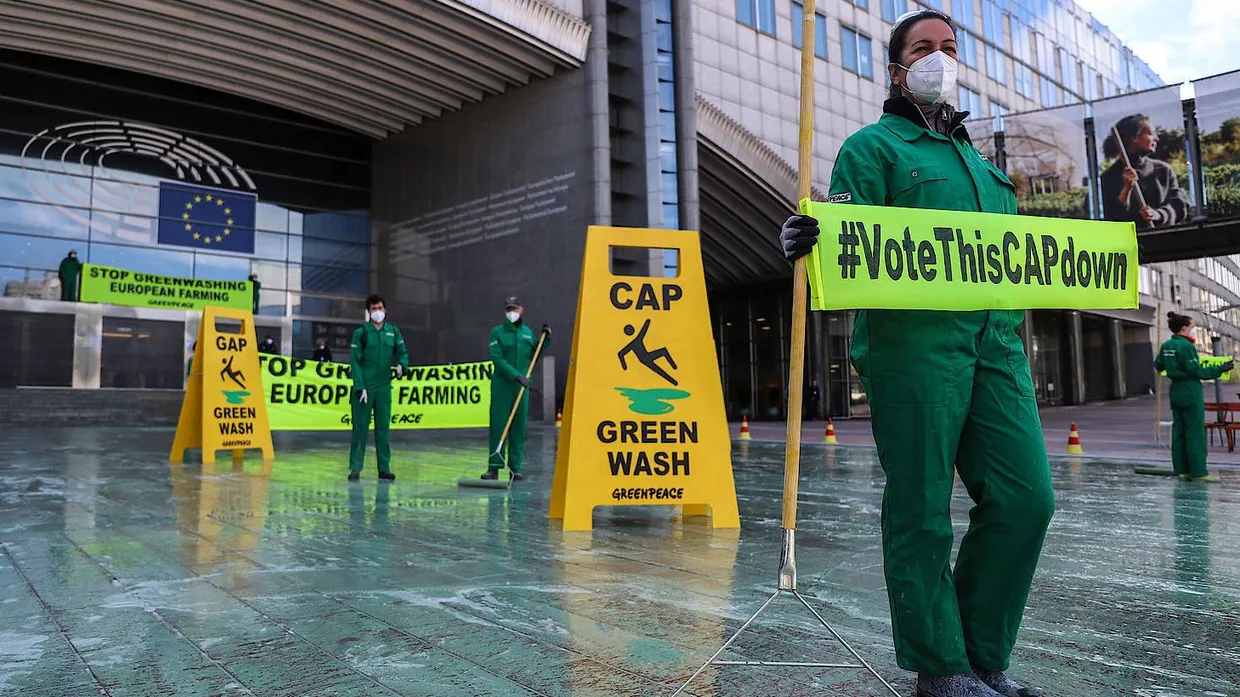 Greenpeace-Aktivisten demonstrieren am Mittwoch vor dem Europäischen Parlament, in dem ein EU-Ratstreffen zur EU-Agrarreform stattfindet