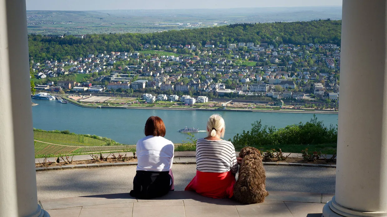 Noch ohne Verbindung: Die Bürgerinitiative Rheinquerung setzt sich für eine Brücke zwischen Bingen und Rüdesheim ein.