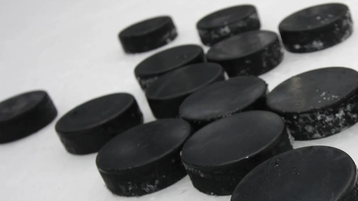 Eiszeit in Deutschland: Von September an spielen die Eishockey-Cracks wieder ihren Meister aus