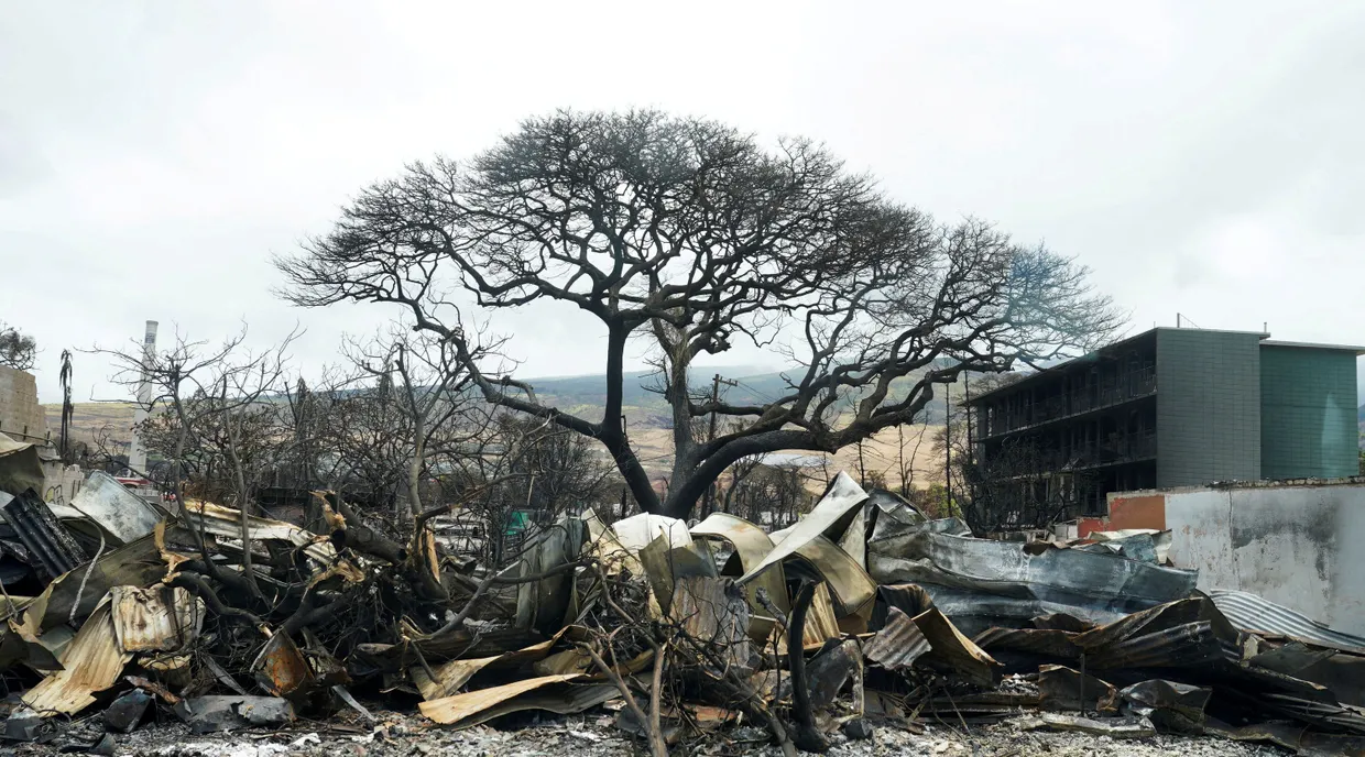 Die Stadt Lahaina auf Maui ist vom Feuer zerstört.