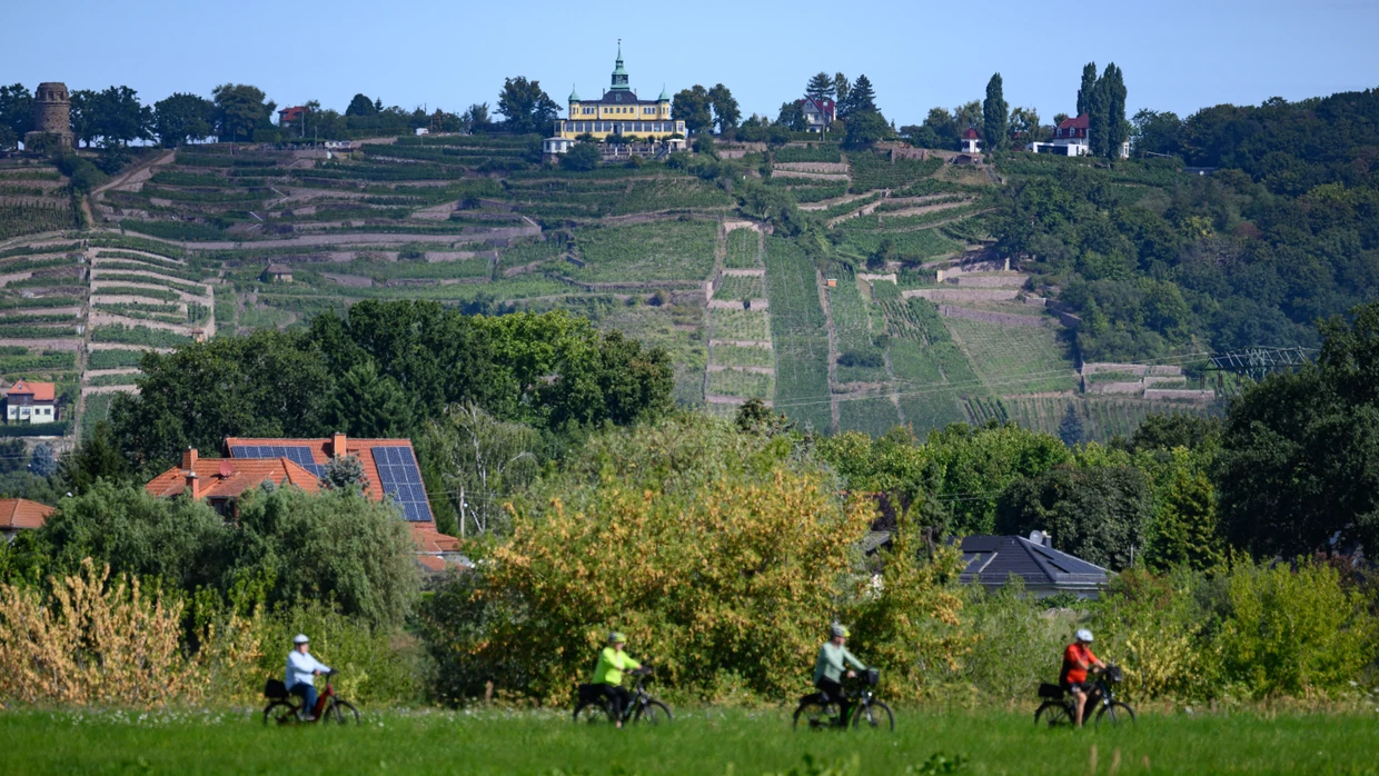 Unten der Elberadweg, oben die Weinberge und das Spitzenhaus: blühende Landschaften in Radebeul