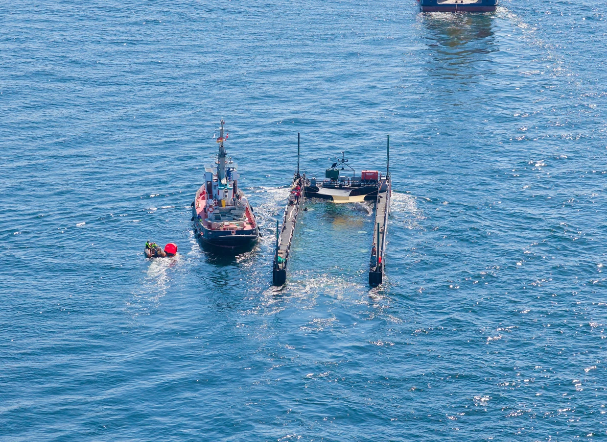 Dinamarca, Skagen: La red protectora de la barcaza, que anteriormente separaba a la ballena jorobada del mar abierto durante su transporte desde el Mar Báltico, fue retirada el sábado por la mañana. Al mismo tiempo, la barcaza seguía inundándose visiblemente.