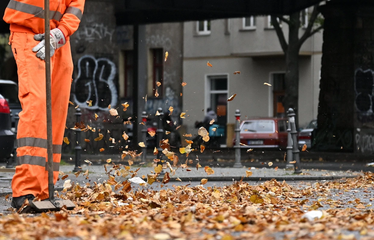 Herbstlaub in Berlin