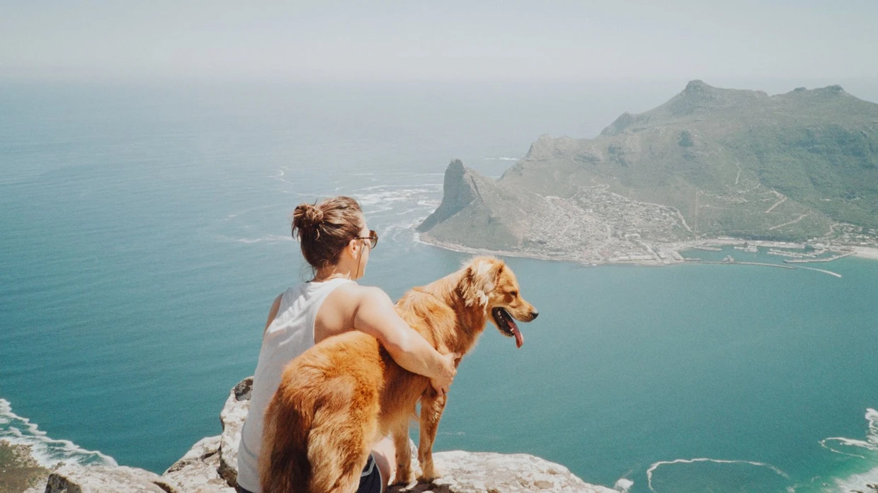 A woman sitting on a mountain summit with her mixed-breed dog whilst on a walk/hike overlooking the ocean. In Cape Town, South Africa.