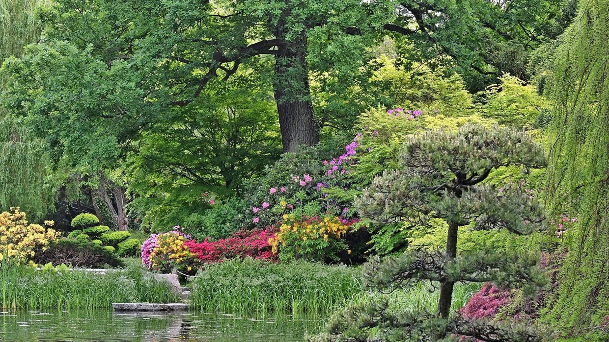 Fernreise in Farbe: Der Japanische Garten von Breslau überstand wechselvolle Jahre und das große Oderhochwasser 1997. Zum Glück ist davon nichts mehr zu spüren.