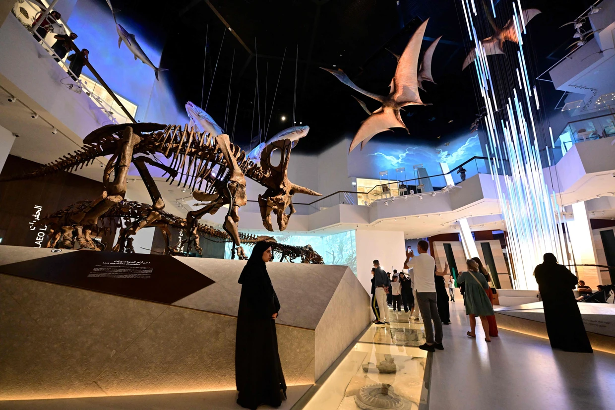 Groß und eindrucksvoll: Saurierskelette im neuen Naturkundemuseum von Abu Dhabi