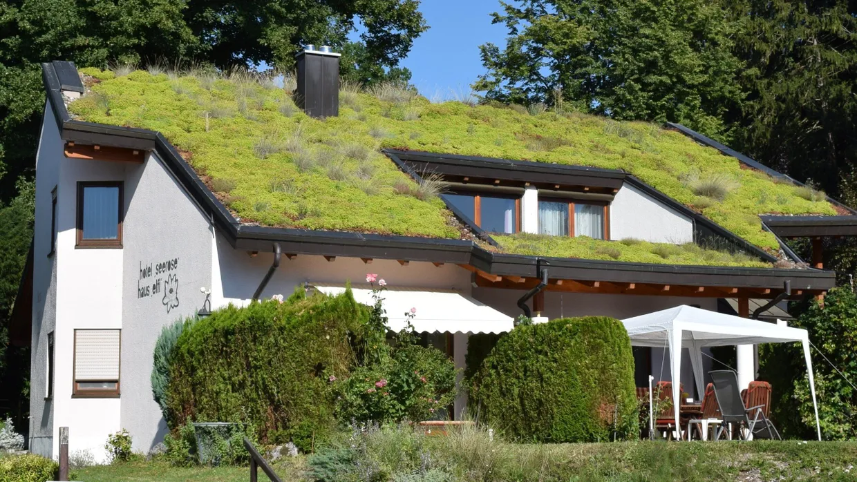 Grünes Dach: Die Pflanzen am Haus sollen es kühlen.