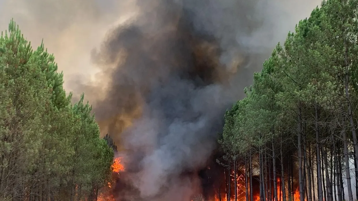 Feuer in Saint Magne im Süden Frankreichs