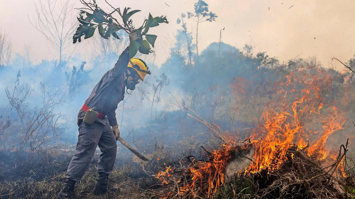 Grüne Lunge in Flammen: Brandbekämpfung im Amazonas-Regenwald