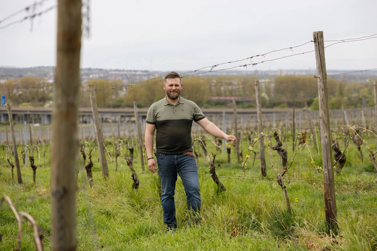 Neuer Pächter mit guten Lagen und großen Plänen: Fabian Schmidt hat das Weingut der Stadt Frankfurt in Hochheim übernommen.