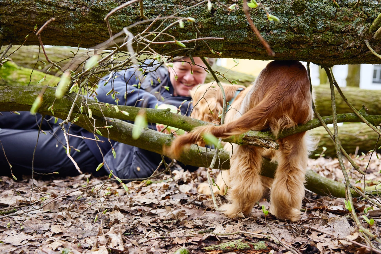Aufgespürt im Unterholz: Hundeführerin Rut Neiser belohnt den Welpen Bruno.