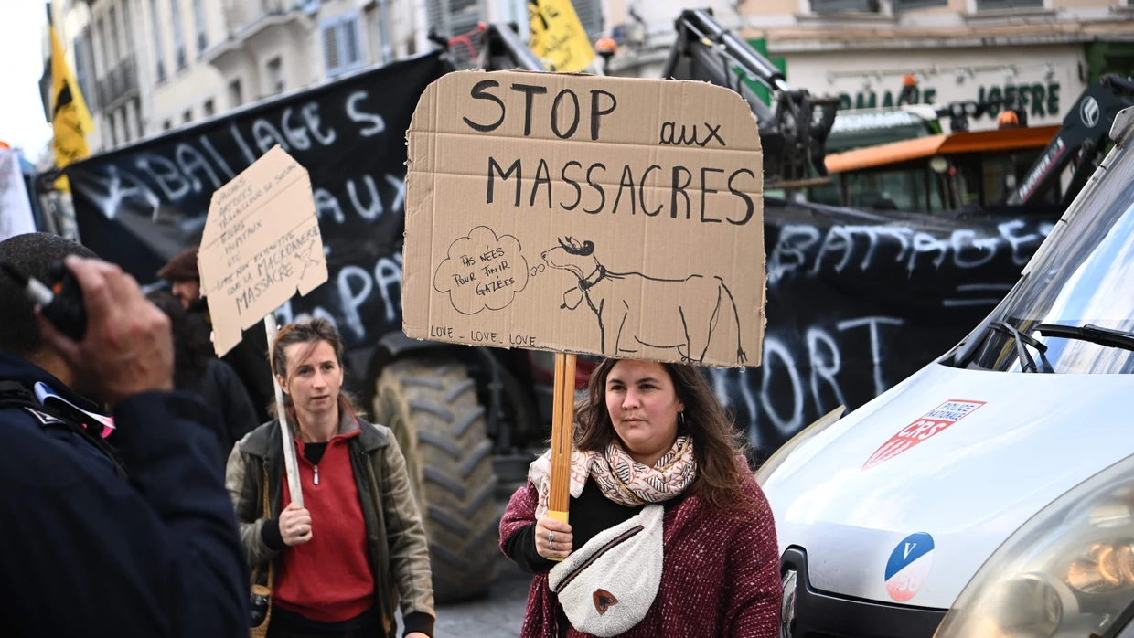 Französische Bauern protestieren vor der Präfektur in Pau.
