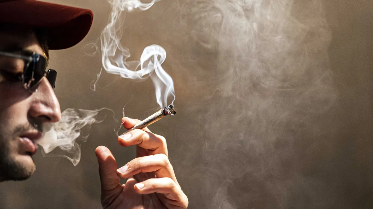 Mehrheit für die Legalisierung von Cannabis? Es könnte sein, dass die „Rote Kiffer Fraktion“ das Ergebnis verfälscht hat.