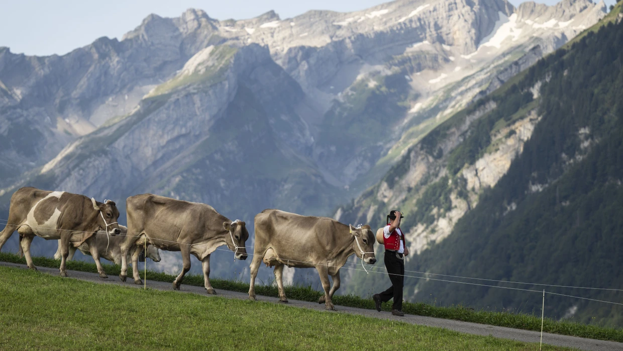Mount Säntis: As beautiful as the nature in Switzerland is, the cost traps can be just as big.