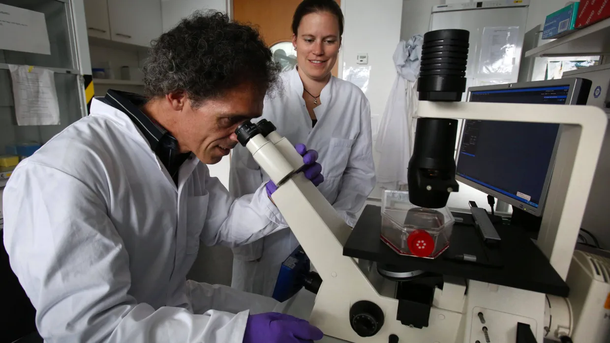 Forscher Runde Wissenschaftsförderung: Jobprogramm für junge Forscher | FAZ
