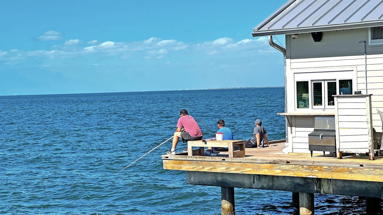 Anna Maria Island: Iddyll an Floridas Golfkste | FAZ