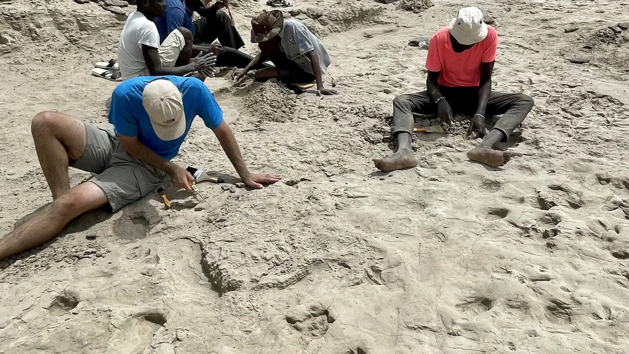 Spurensuche in dem 1,5 Millionen Jahre alten Uferschlamm von Koobi Fora im Norden Kanias