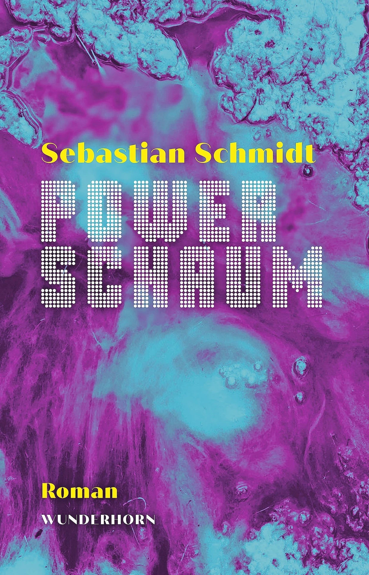 Sebastian Schmidt: „Powerschaum“. Roman.