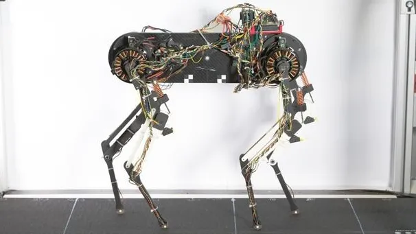 Roboter auf dem Laufband: Morti hat keinen Kopf, ist groß wie ein Labrador und lernt innerhalb von nur einer Stunde das Laufen
