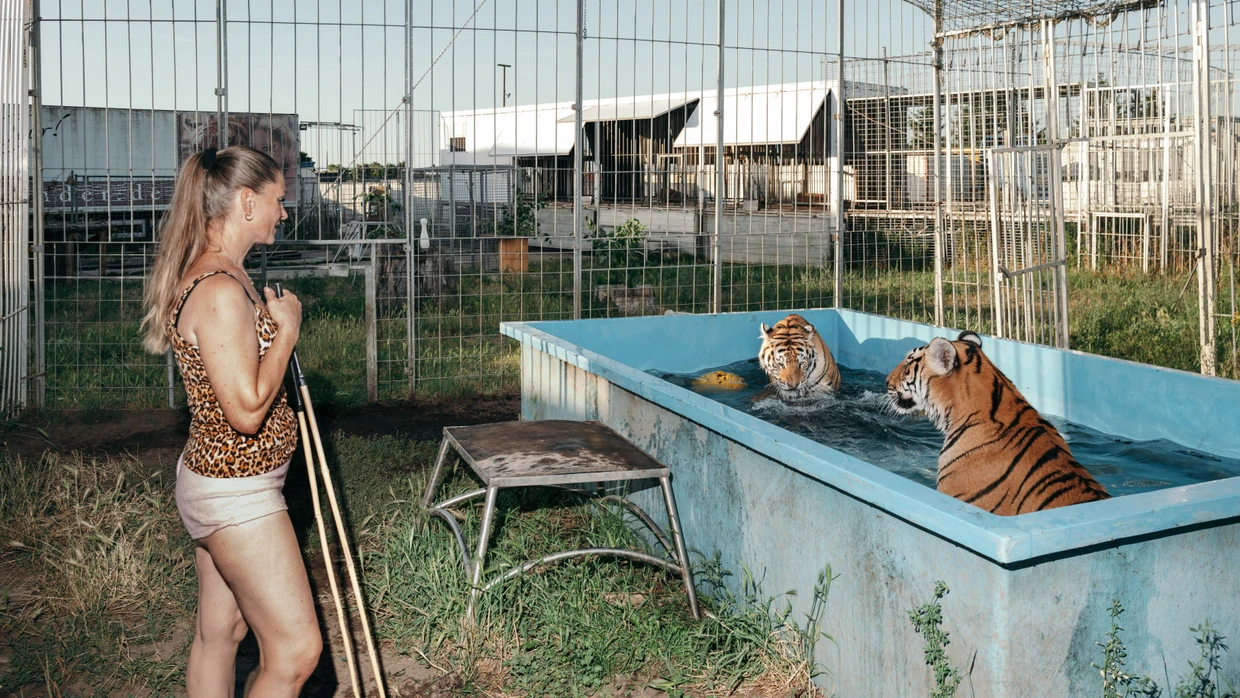 Auch Tiger suchen bei Hitze Abkühlung: Carmen Zander im Juni auf dem „Tigerplatz“ im sächsischen Dölzig.