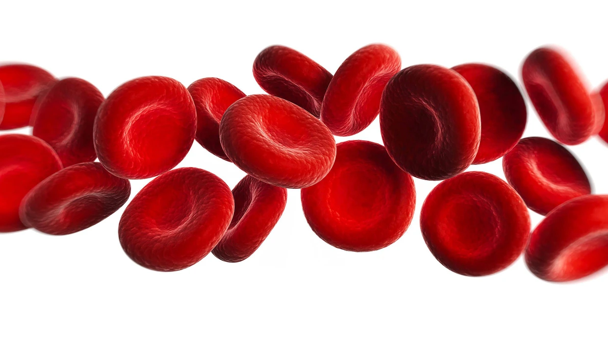 Transfusionsmedizin: Fliet bald Kunstblut in unseren Adern? | FAZ